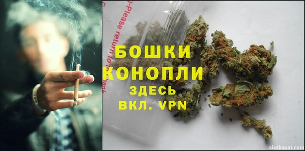 бошки Иннополис