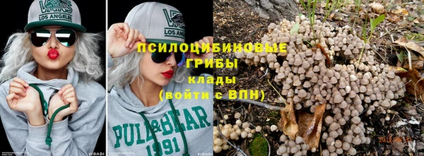 спайс Инсар