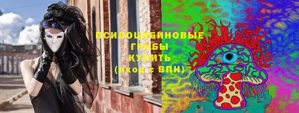 спайс Инсар